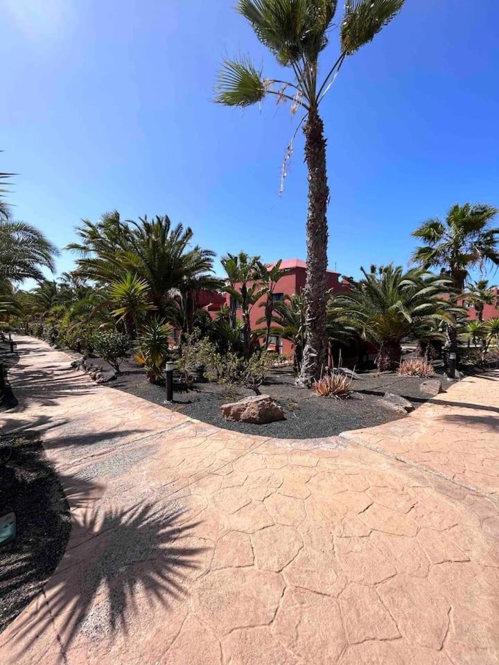 Sun & Sea Apartment In Corralejo Exterior photo