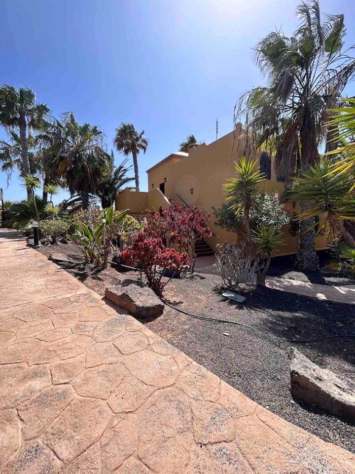 Sun & Sea Apartment In Corralejo Exterior photo